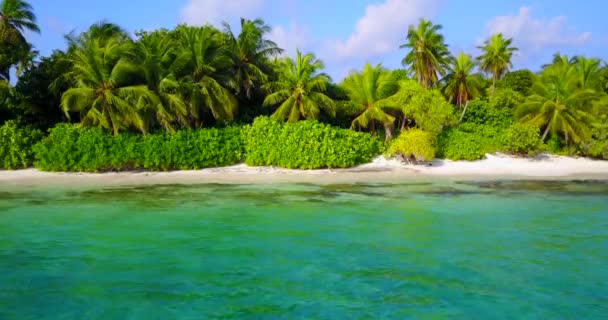 Tropical Island Lush Greenery Nature Scenery Antigua — Stock Video