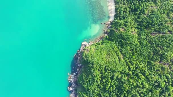Прибережна Зона Зеленого Острова Тропічна Природа Ямайки Карибське Море — стокове відео
