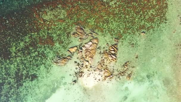 Blick Von Oben Auf Beige Felsen Flachen Meerwasser Landschaft Australiens — Stockvideo