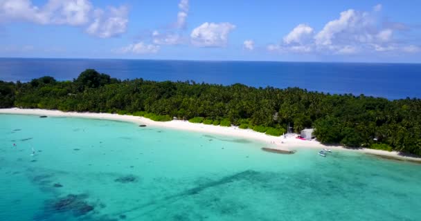 Vídeo Aéreo Isla Tropical Con Playa Arena Blanca Palmeras Agua — Vídeo de stock