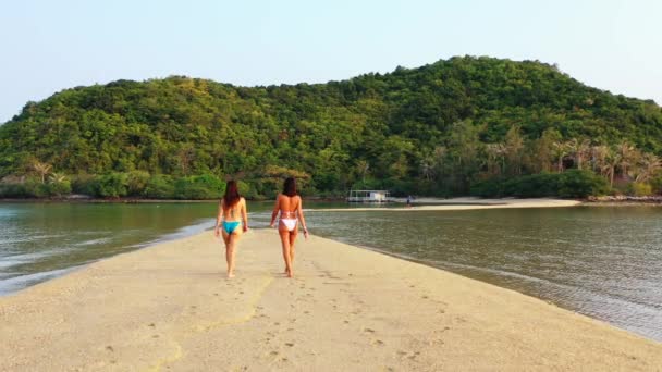 Δύο Νεαρές Φίλες Μπικίνι Περπατούν Αμμώδες Νησί Ανάμεσα Θαλασσινό Νερό — Αρχείο Βίντεο