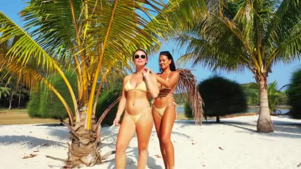 Due Giovani Amiche Bikini Piedi Sulla Costa Sabbiosa Sotto Palme — Video Stock