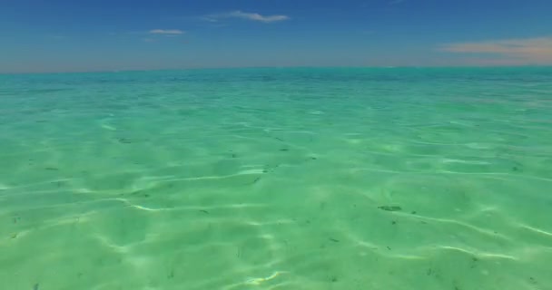 Olhando Para Água Verde Transparente Rasgando Viagem Barbados Caribe — Vídeo de Stock