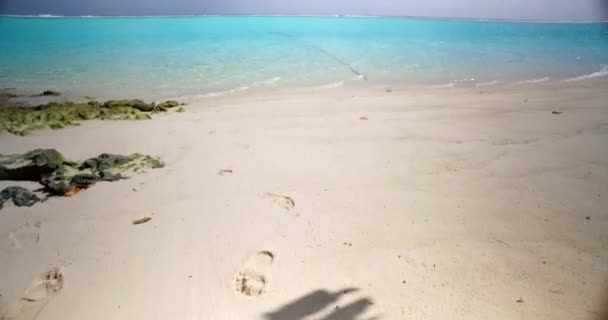 Algen Weißen Strand Mit Türkisfarbenem Meer Hintergrund Sommerurlaub Auf Den — Stockvideo