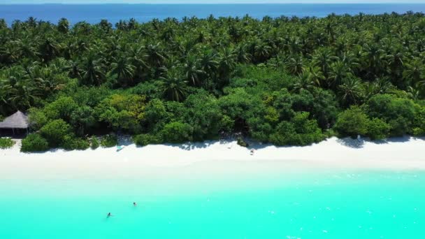 Kustlijn Met Heldere Turquoise Zee Tropisch Paradijs Bora Bora Frans — Stockvideo