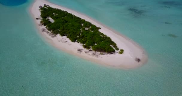 Küstengebiet Mit Strohschirmen Sonnige Natur Der Dominikanischen Republik Karibik — Stockvideo
