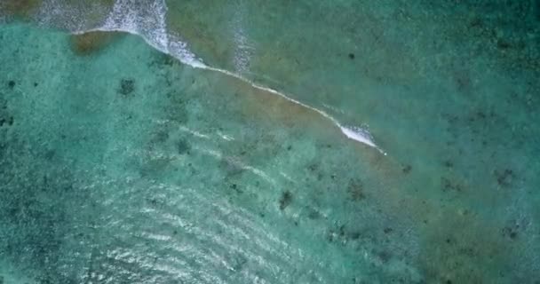 Natural Texture Rippling Sea Enjoying Nature Dominican Republic Caribbean — Stok video