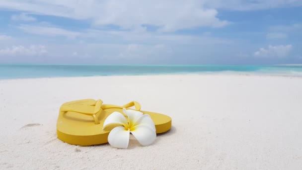 Tongs Jaunes Avec Fleur Plumeria Sur Plage Nature Idyllique Bali — Video