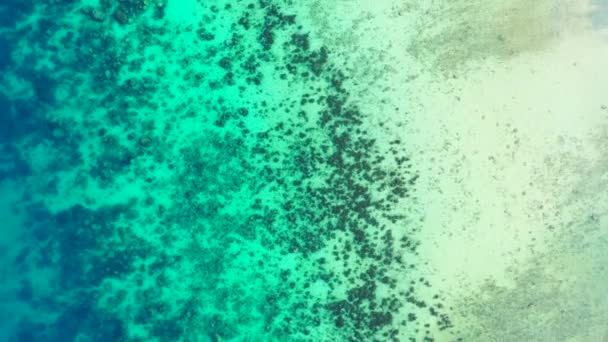 Bord de mer vide avec eau transparente. Détente estivale à Bora Bora, Polynésie française.