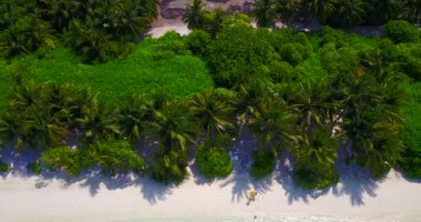 Kıyı şeridinin en üst manzarası gür palmiyelerle dolu. Maldivler 'in yaz manzarası. 