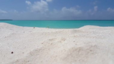 Parlak turkuaz deniz kenarlı tropikal adanın beyaz plajı. Endonezya, Bali 'ye seyahat.