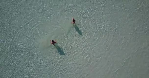 熱帯のビーチで幸せなロマンチックなカップル — ストック動画