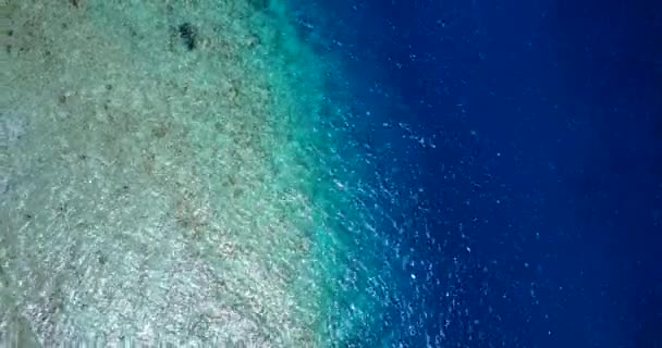 Voler Dessus Eau Mer Ondulante Nature Bali Indonésie — Video