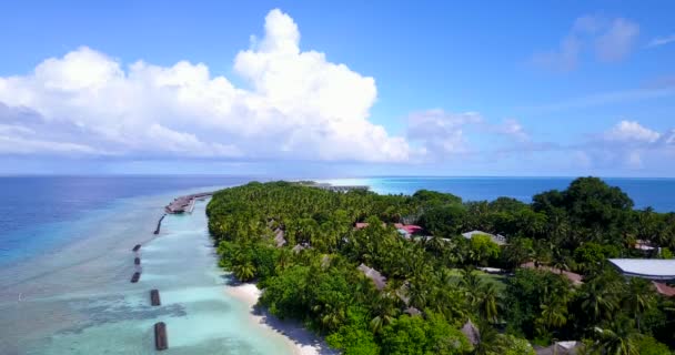 Wellenbrecher Rund Die Tropische Insel Idyllische Natur Balis — Stockvideo