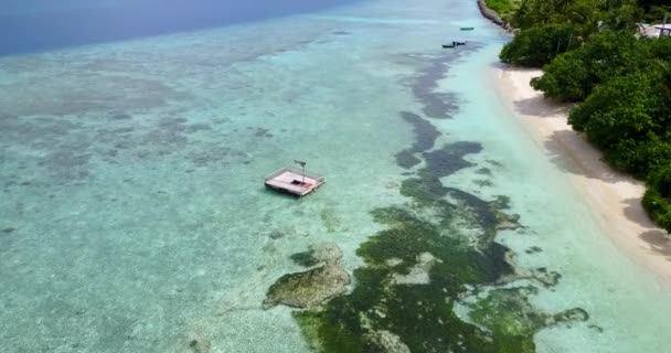 Φύκια Ρηχά Νερά Και Περιπλανώμενο Panton Στο Νησί Καλοκαιρινές Διακοπές — Αρχείο Βίντεο