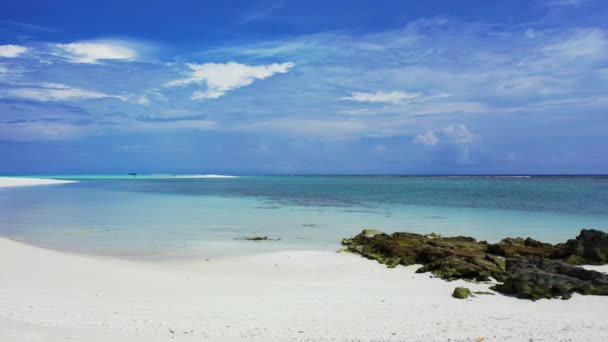 Морські Водорості Скелі Білому Тропічному Пляжі Екзотичні Літні Канікули Мальдівах — стокове відео