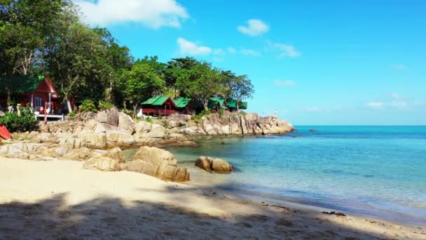 Spiaggia Con Vegetazione Tropicale — Video Stock