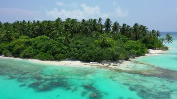 Isla Bordeada Agua Turquesa Vacaciones Exóticas Maldivas Asia Del Sur — Vídeos de Stock