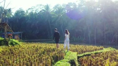 Pirinç tarlalarında yürüyen çiftin videosu.