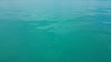 Doğal dalgalı okyanus arka planı. Hawaii, ABD 'nin egzotik manzarası.