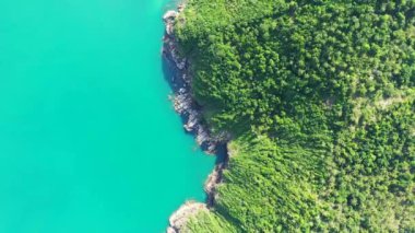 Turkuaz denizli yeşil adanın en üst manzarası. Jamaika, Karayipler Manzarası.