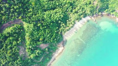 Sabahları canlı bir deniz kıyısı. Barbados, Karayipler 'in tropik cenneti. 