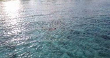 Denizde şnorkelle yüzmeyi seven bir adam. Bali 'de yaz tatili.