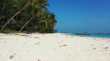 Yaz sıcağında adanın kıyı şeridi. Barbados, Karayiplerin güneşli doğası. 