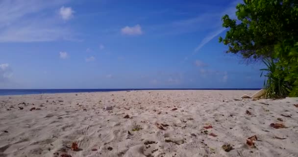 Gedroogde Bladeren Het Strand Van Tropisch Eiland Zomervakantie Australië Oceanië — Stockvideo