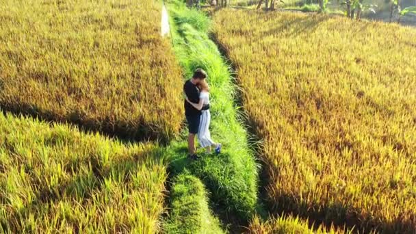 Video Couple Hugging Rice Fields — Stock Video