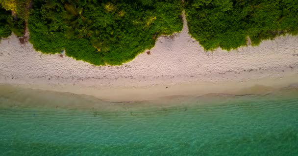 Widok Góry Piaszczystą Krawędź Plaży Zieloną Płytką Wodą Letnia Wycieczka — Wideo stockowe