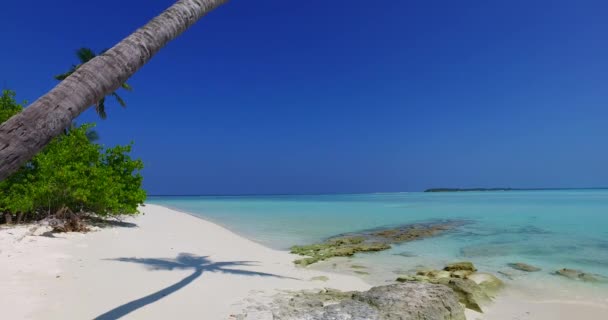 Plaża Wcześnie Rano Letni Raj Jamajce Karaiby — Wideo stockowe