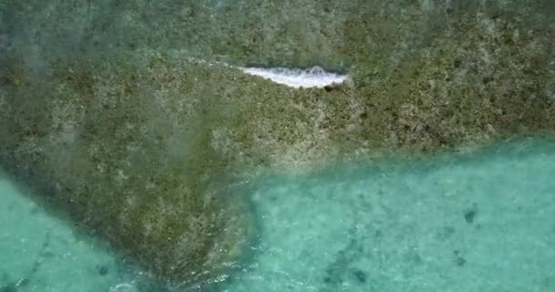 Kijkend Naar Het Zeeoppervlak Tropische Natuur Scene Van Jamaica Caribisch — Stockvideo