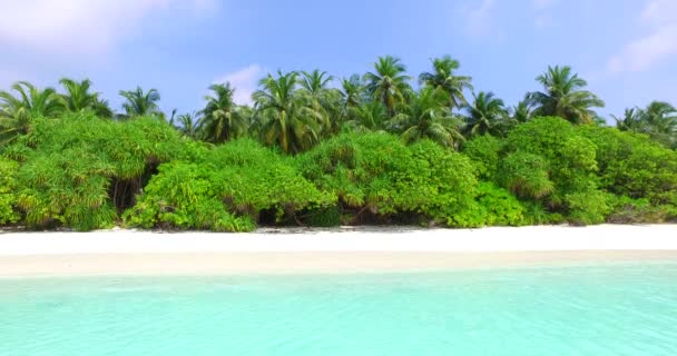 朝の海岸で緑豊かなヤシの木 インドネシアのバリの熱帯の楽園 — ストック動画