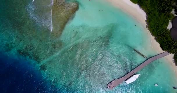 从无人侦察机看到海滨 多米尼加共和国 加勒比令人惊奇的性质 — 图库视频影像