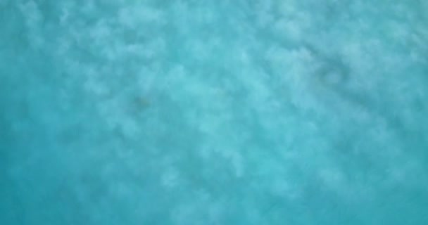 Морська Вода Витікає Природним Фоном Exotic Nature Bora Bora French — стокове відео
