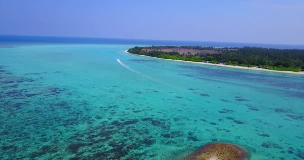 Наслаждаясь Экзотическим Летним Отпуском Бора Бора Французской Полинезии Остров Парадизе — стоковое видео
