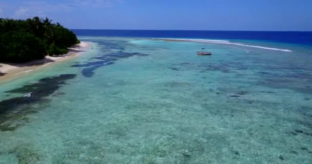 緑の島の近くに透明な浅い水 ボラへの旅行 フランス領ポリネシア — ストック動画