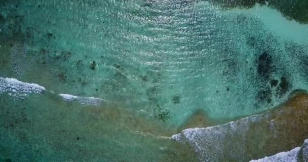 ドローンから海の水を観察するさざ波 ドミニカ共和国 カリブ海の素晴らしい自然 — ストック動画
