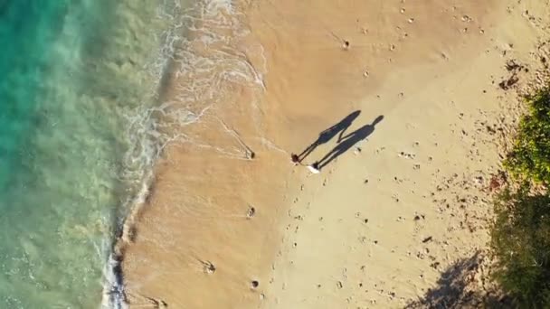 Top Ver Imagens Jovem Casal Encantador Aproveitando Tempo Praia Ilha — Vídeo de Stock