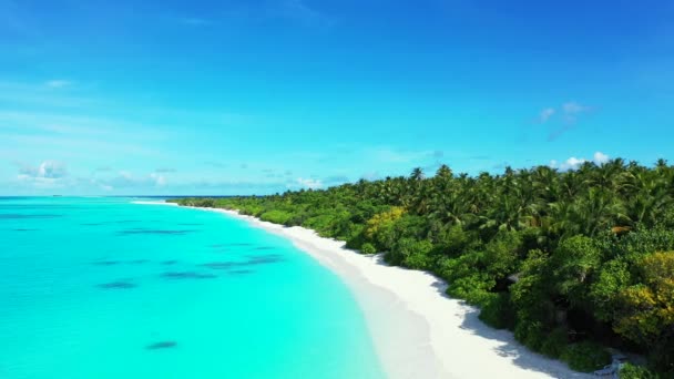 Jasne Słoneczne Wybrzeże Dzień Krajobraz Przyrody Antigua — Wideo stockowe