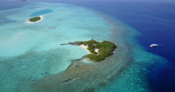 海辺のエリアを観察 ドミニカ共和国 カリブ海の夏の熱帯の風景 — ストック動画