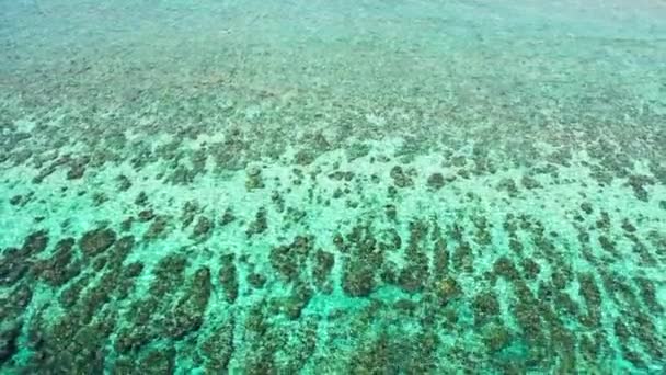 Lavt Vand Med Små Sten Bølger Storslåede Karakter Malaysia Asien – Stock-video