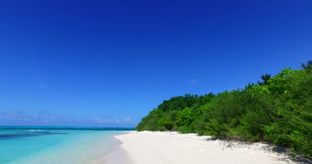 白色沙滩上浅水清澈的近景 多米尼加共和国 加勒比的异族性质 — 图库视频影像