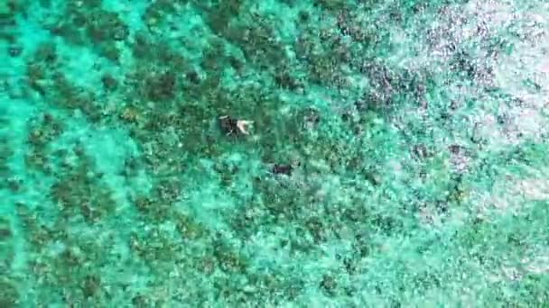 Turyści Relaksujący Się Wodzie Letni Relaks Bora Bora Polinezja Francuska — Wideo stockowe