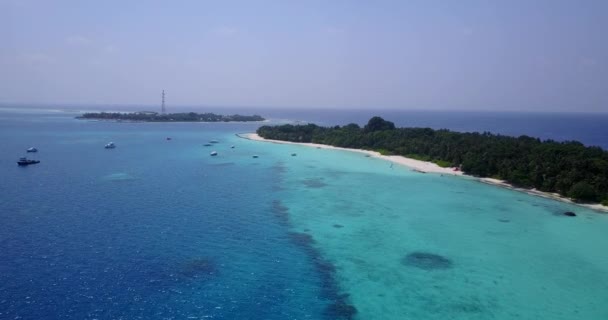 Wybrzeże Widziane Drona Niesamowita Przyroda Dominikany Karaibów — Wideo stockowe