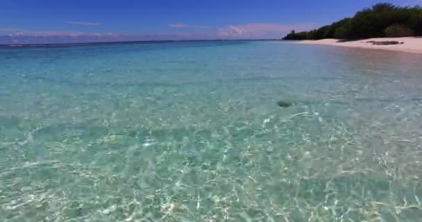 Rano Przezroczysta Woda Morska Wybrzeżu Wakacje Australii Oceania — Wideo stockowe