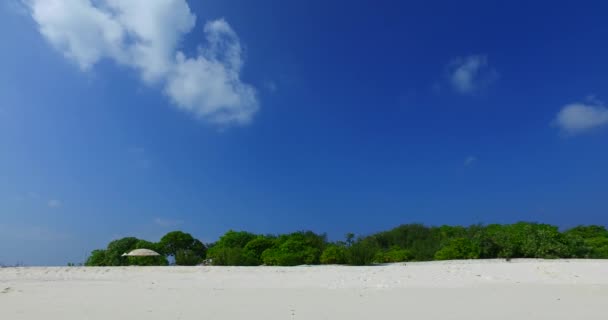 Rivage Avec Mer Cristalline Nature Ensoleillée République Dominicaine Caraïbes — Video