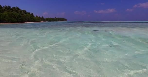 ボラのエキゾチックな自然 フランス領ポリネシア — ストック動画