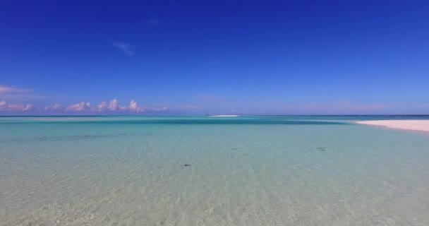 Прибрежная Зона Мелководьем Утрам Наслаждаясь Природой Доминиканской Республики Карибского Бассейна — стоковое видео